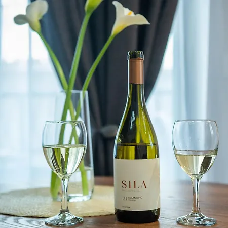 Apartmán Tesoro Spa&wellness *